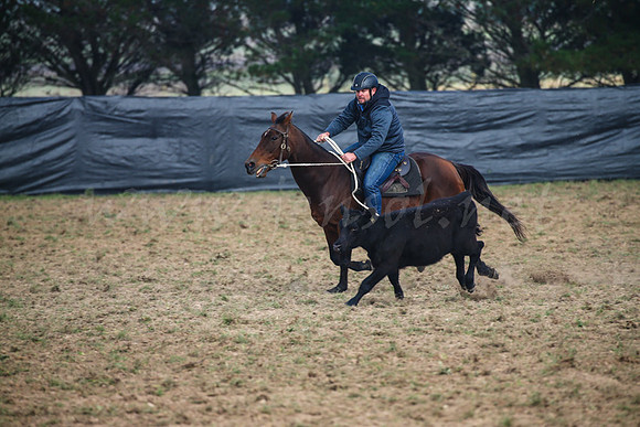 GoulburnCampdraft2017-0087