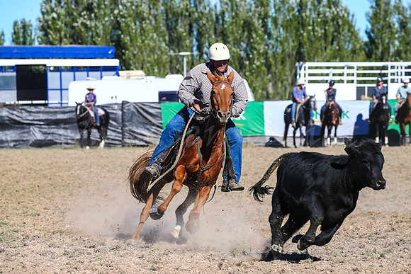 GoulburnCampdraft2017-0725