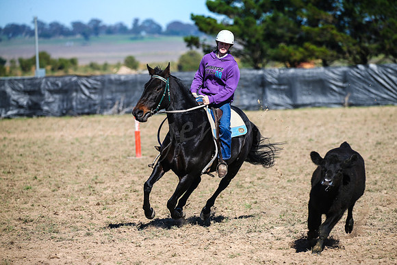 GoulburnCampdraft2017-0143