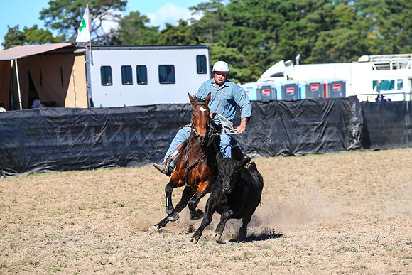 GoulburnCampdraft2017-0773