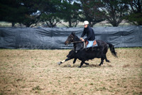 GoulburnCampdraft2017-0080