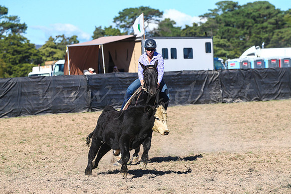 GoulburnCampdraft2017-0778