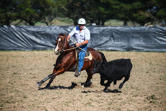 GoulburnCampdraft2017-0103