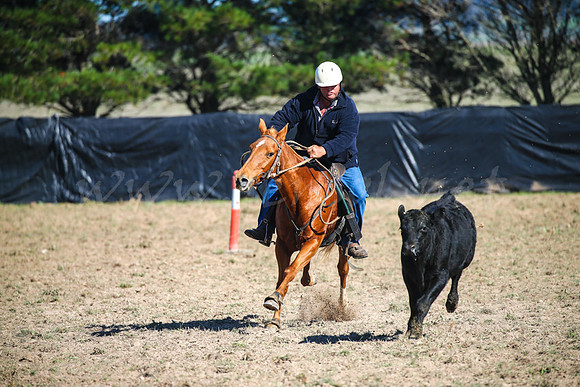 GoulburnCampdraft2017-0121
