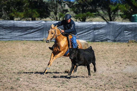 GoulburnCampdraft2017-0193