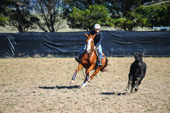 GoulburnCampdraft2017-0166