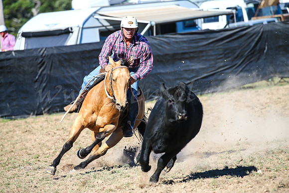 GoulburnCampdraft2017-0736