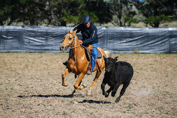 GoulburnCampdraft2017-0189