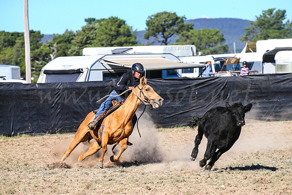 GoulburnCampdraft2017-0781