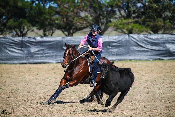 GoulburnCampdraft2017-0136