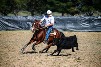 GoulburnCampdraft2017-0104