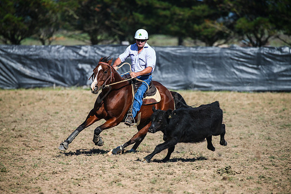 GoulburnCampdraft2017-0104