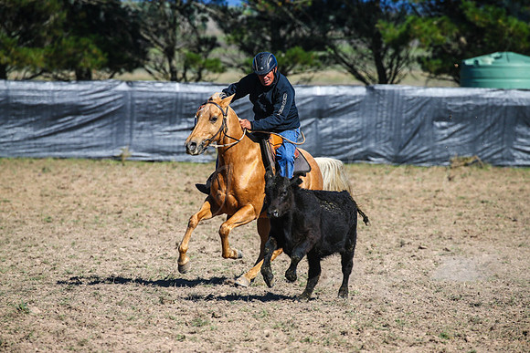 GoulburnCampdraft2017-0191