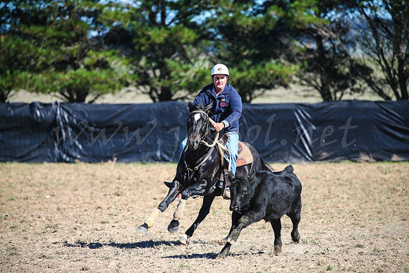GoulburnCampdraft2017-0182