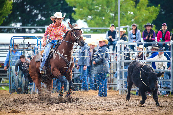 BraidwoodRodeo2017_2062