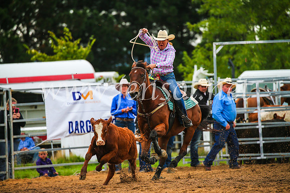 BraidwoodRodeo2017_2911