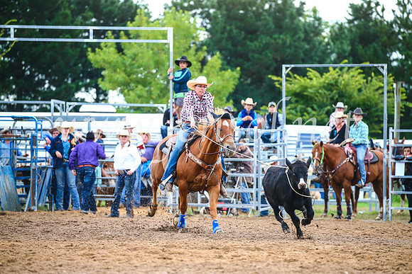 BraidwoodRodeo2017_2956