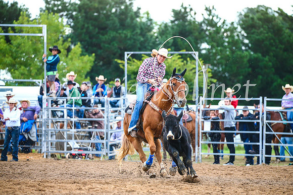 BraidwoodRodeo2017_2955