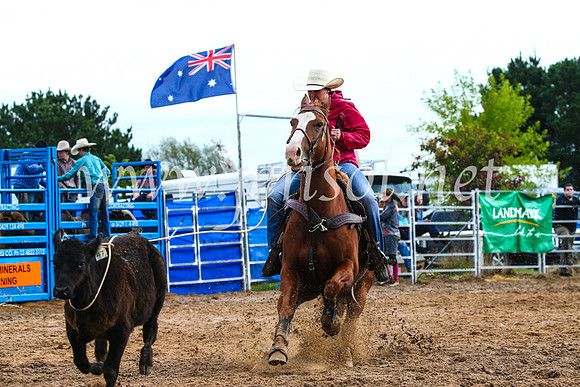 BraidwoodRodeo2017_2091