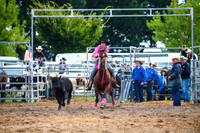BraidwoodRodeo2017_2078