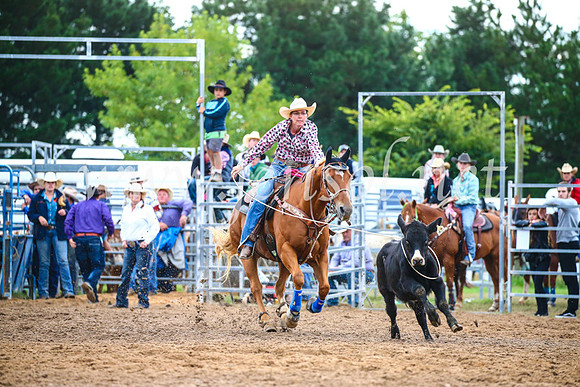 BraidwoodRodeo2017_2957