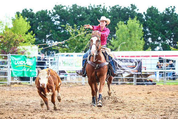 BraidwoodRodeo2017_2069