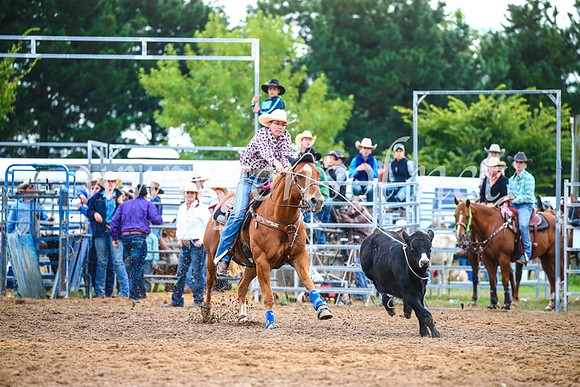 BraidwoodRodeo2017_2946
