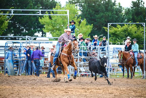 BraidwoodRodeo2017_2947