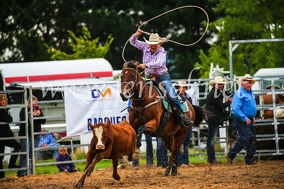 BraidwoodRodeo2017_2912