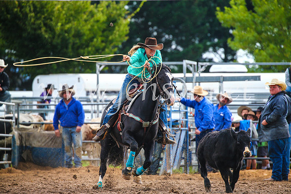 BraidwoodRodeo2017_2089