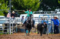 BraidwoodRodeo2017_2085