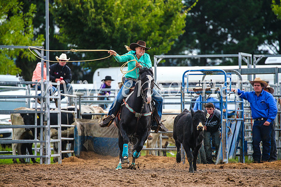 BraidwoodRodeo2017_2085