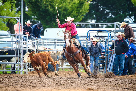 BraidwoodRodeo2017_2065