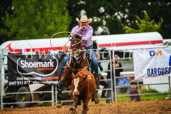 BraidwoodRodeo2017_2918