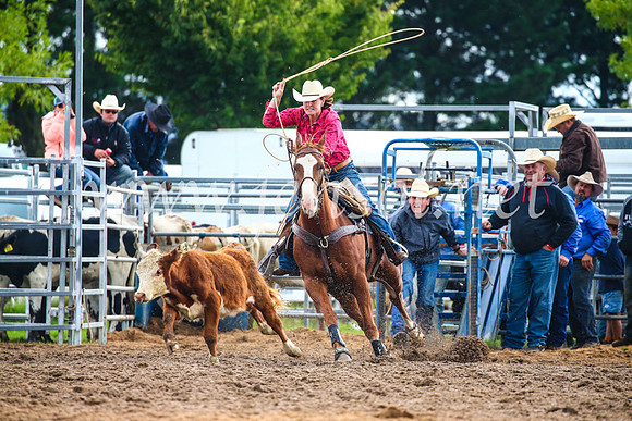 BraidwoodRodeo2017_2064