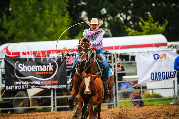 BraidwoodRodeo2017_2927