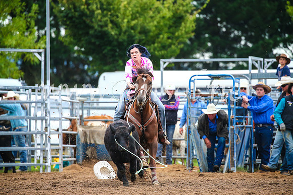 BraidwoodRodeo2017_2930