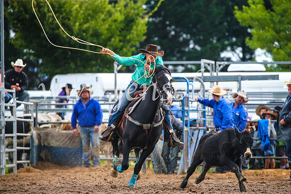 BraidwoodRodeo2017_2082