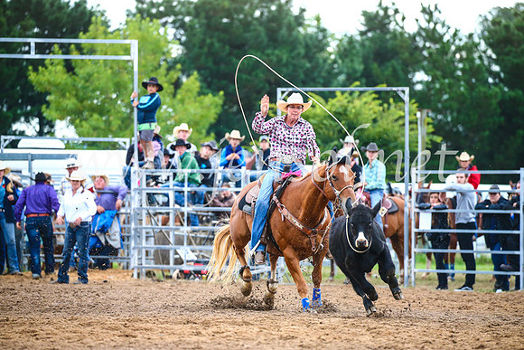 BraidwoodRodeo2017_2962