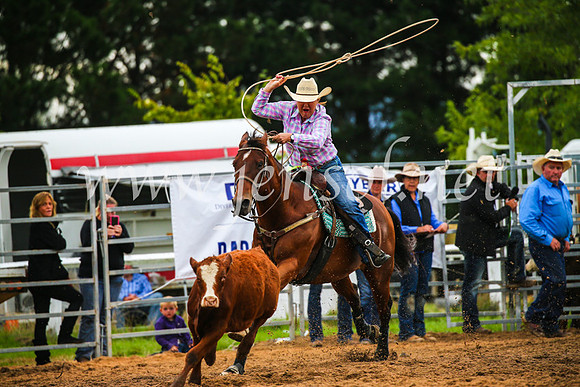 BraidwoodRodeo2017_2924