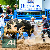 MoruyaRodeo2019_5392