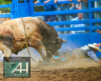 MoruyaRodeo2019_5430