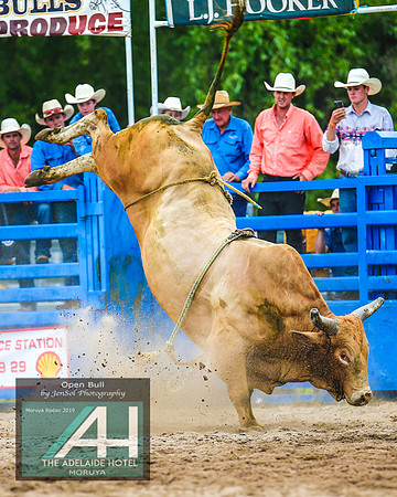 MoruyaRodeo2019_5570