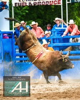 MoruyaRodeo2019_5545
