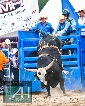 MoruyaRodeo2019_5490