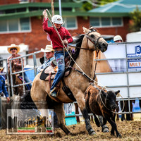 QueanbeyanRodeo_1655