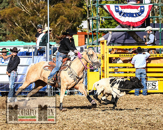 QueanbeyanRodeo_4904
