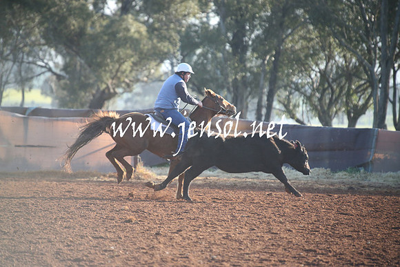 IllaboSat_0041