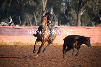 IllaboSat_0003