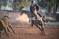 IllaboSat_0005